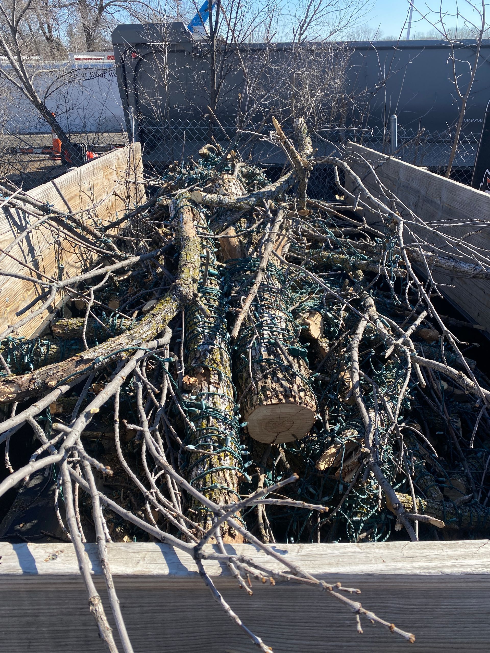 Lot Clearing | Minneapolis, MN | Arbor Tree Service