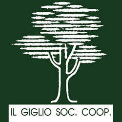 IL GIGLIO SOCIETÀ COOPERATIVA - LOGO