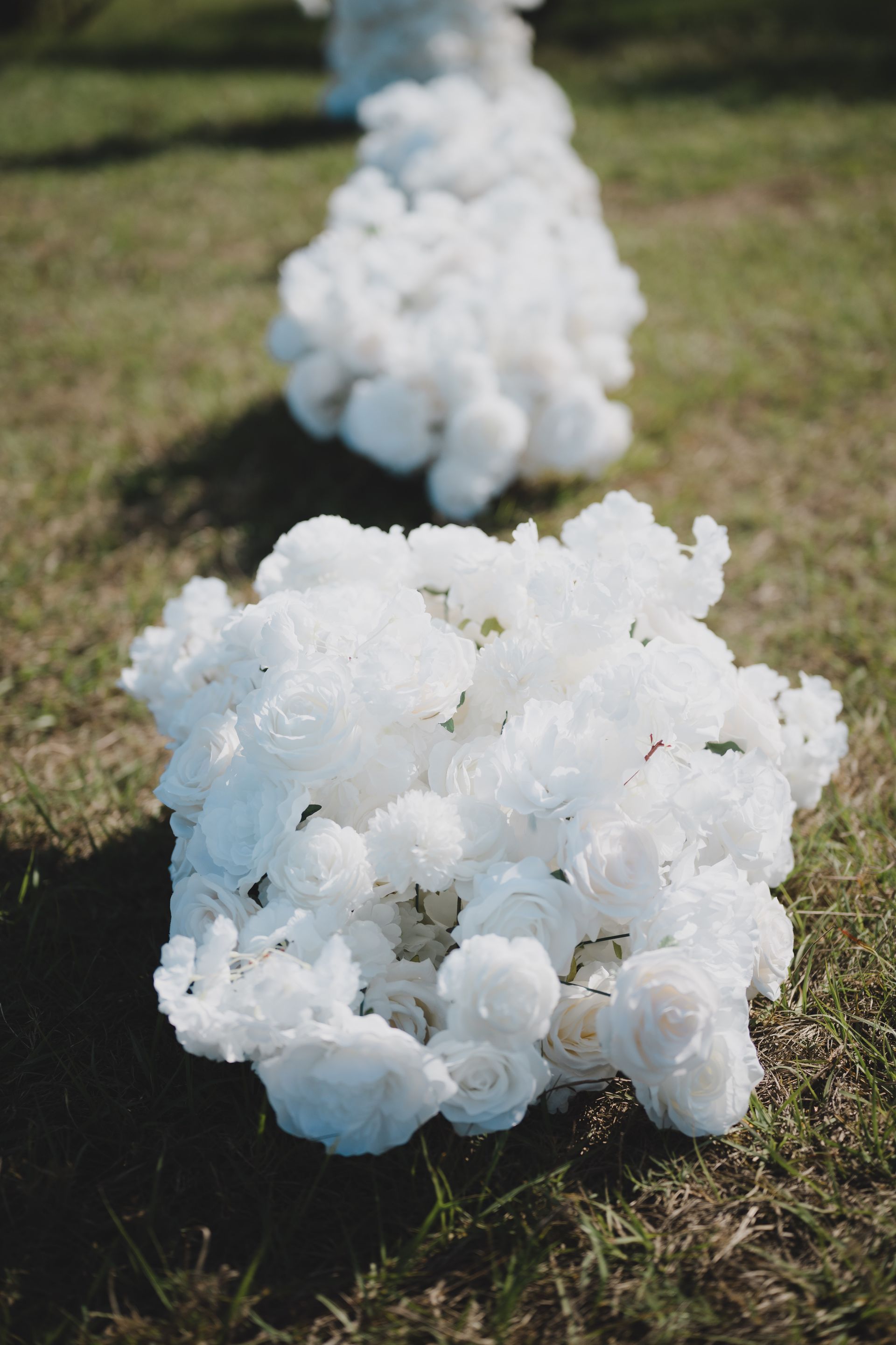 A bunch of white flowers sitting on top of a grass covered field.