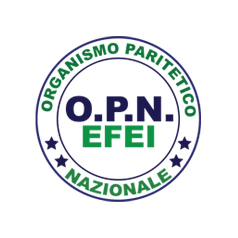 OPN EFEI