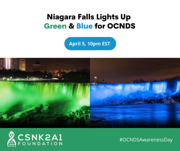 Niagara Lights Up for OCNDS