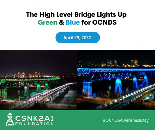 The High Level Bridge Lights Up for OCNDS