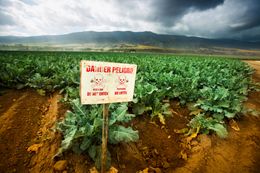 Pesticide Warning Sign On Fertile Farm Land | South Plainfield, NJ | Conquest Environmental Pest Solutions