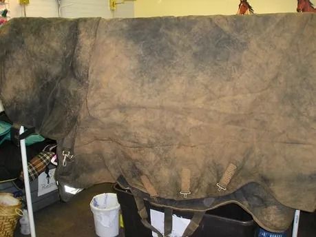 A dirty, brown horse blanket hanging on a surface, with straps and buckles visible.