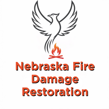 Phoenix rising from flames, 