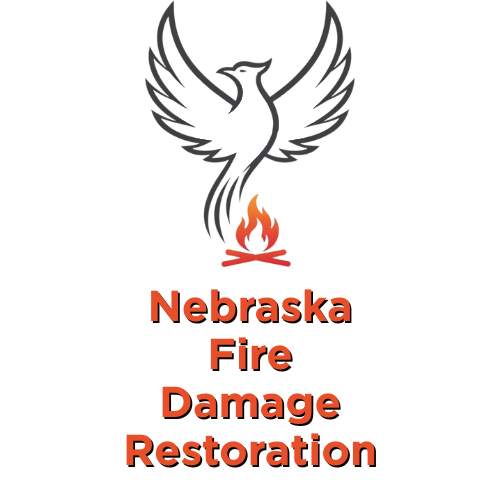 Phoenix rising from flames, 