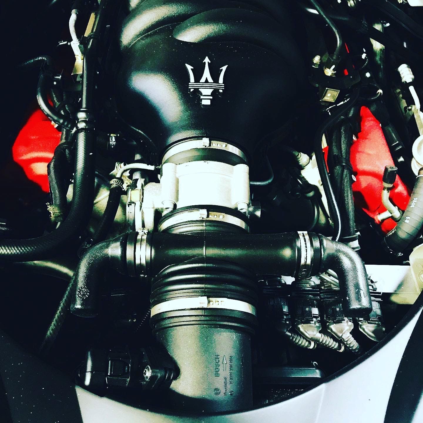 Black Maserati engine with the trident logo, red details, and various hoses. | Velocity Motorwerks