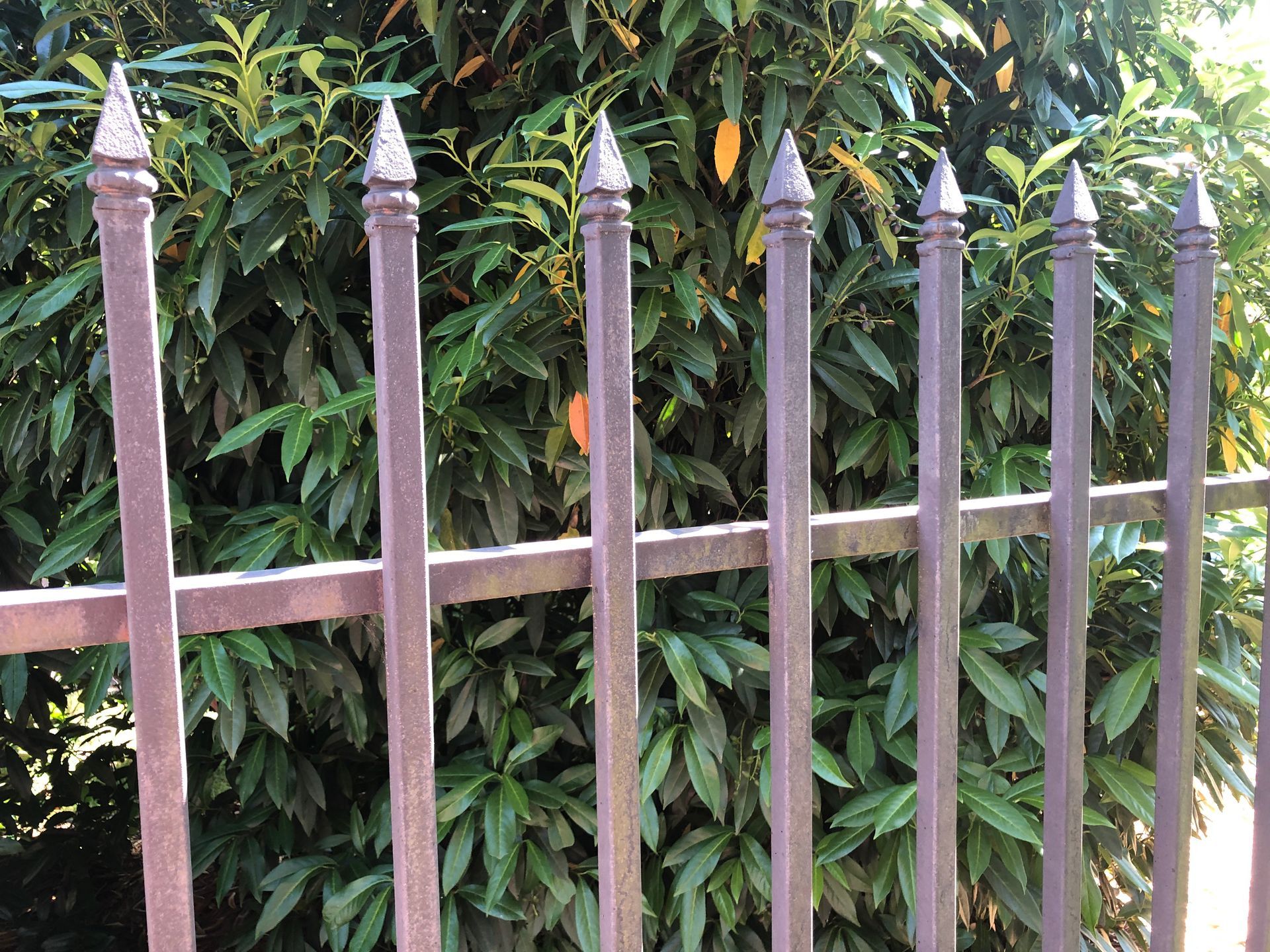 residential iron fence outside South Eola home in Orlando