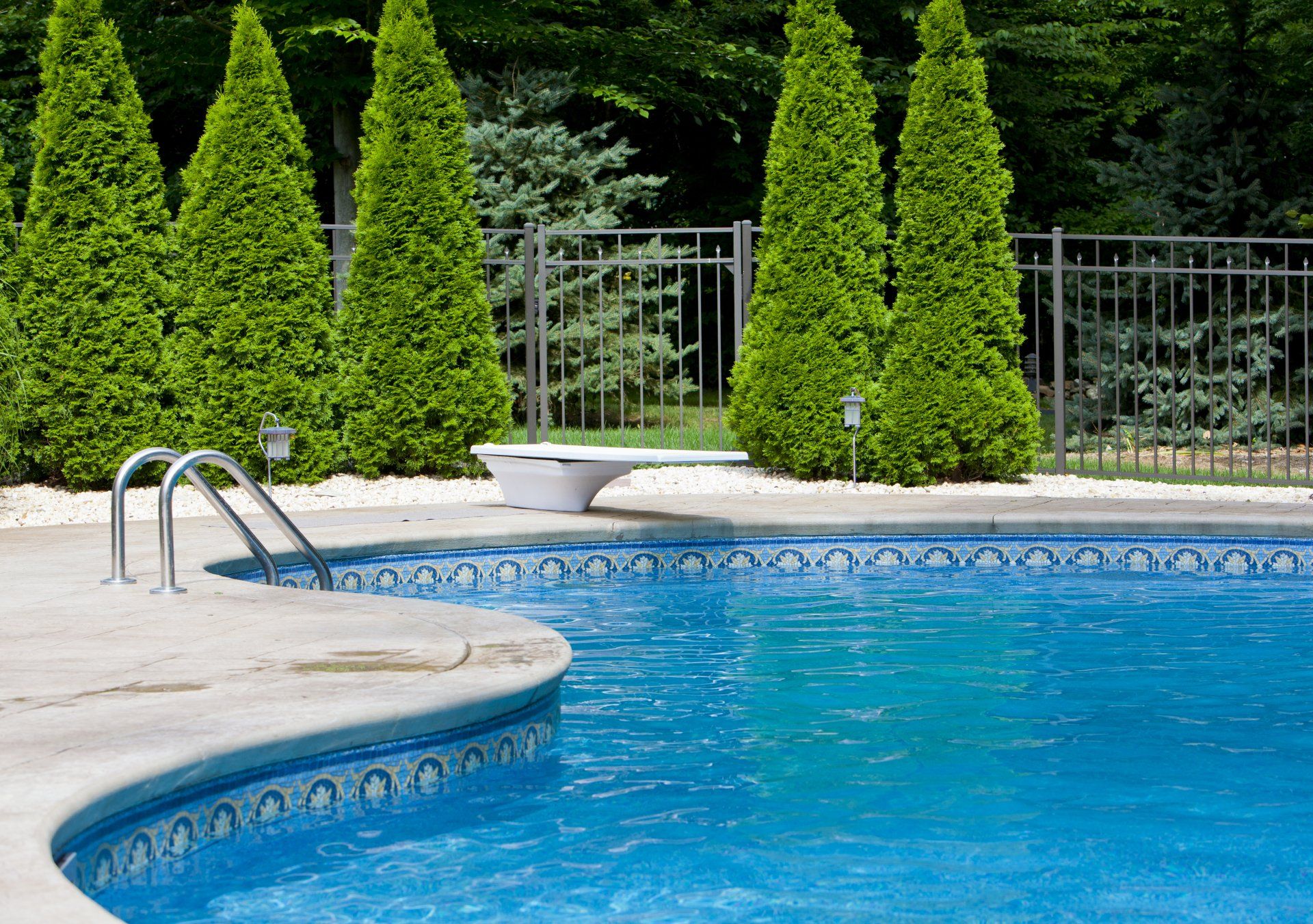 Pool With Large Trees On The Side — Houston, TX — Olympia Pools & Spas