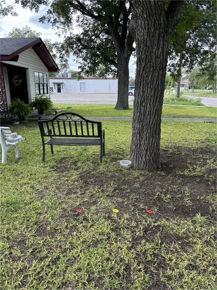 A bench is sitting under a tree in the grass in front of a house.