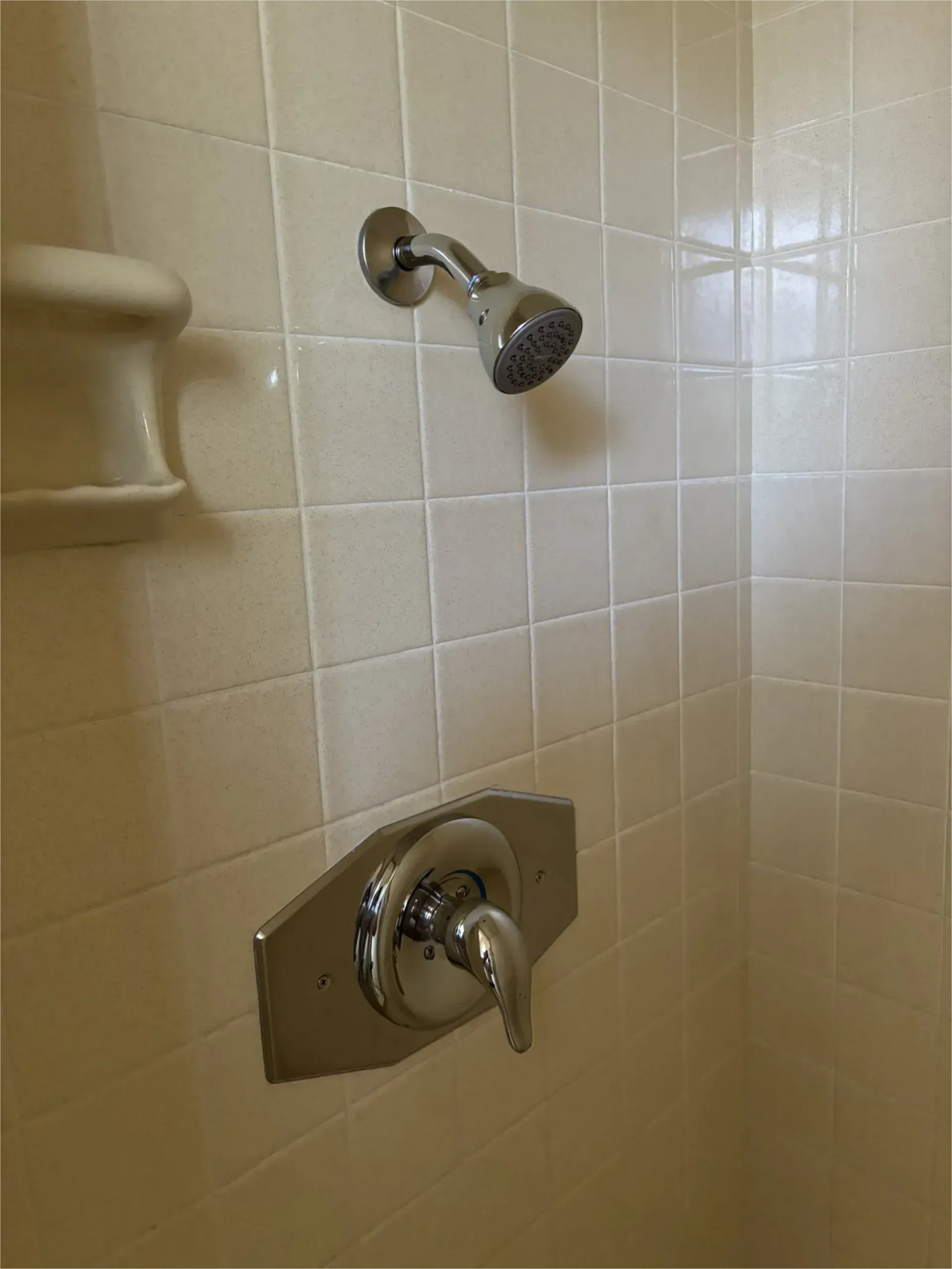 A shower with a shower head and a soap dish on the wall.
