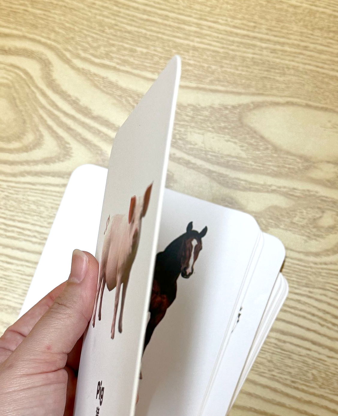 All About Farm Flashcards