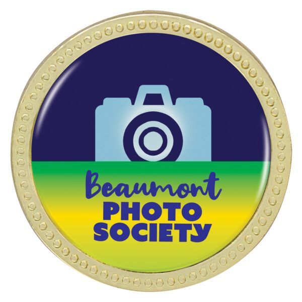 A Gold Badge Syaing Beaumont Photo Society On It— Gala Trophies In Wollongong, NSW