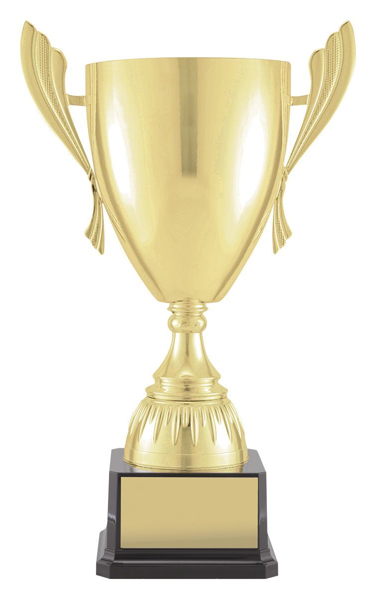 A Gold Trophy Is Sitting On A Wooden Table — Gala Trophies  In Wollongong, NSW 
