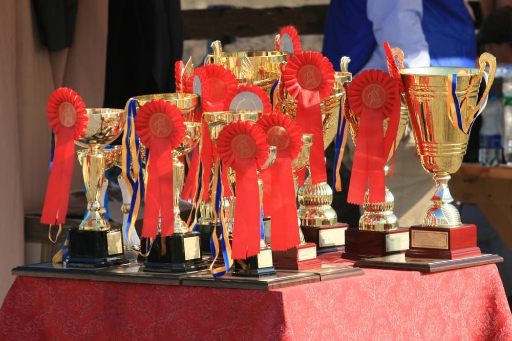 A Table Full Of Gold Trophies With Red Ribbons — Gala Trophies In Wollongong, NSW