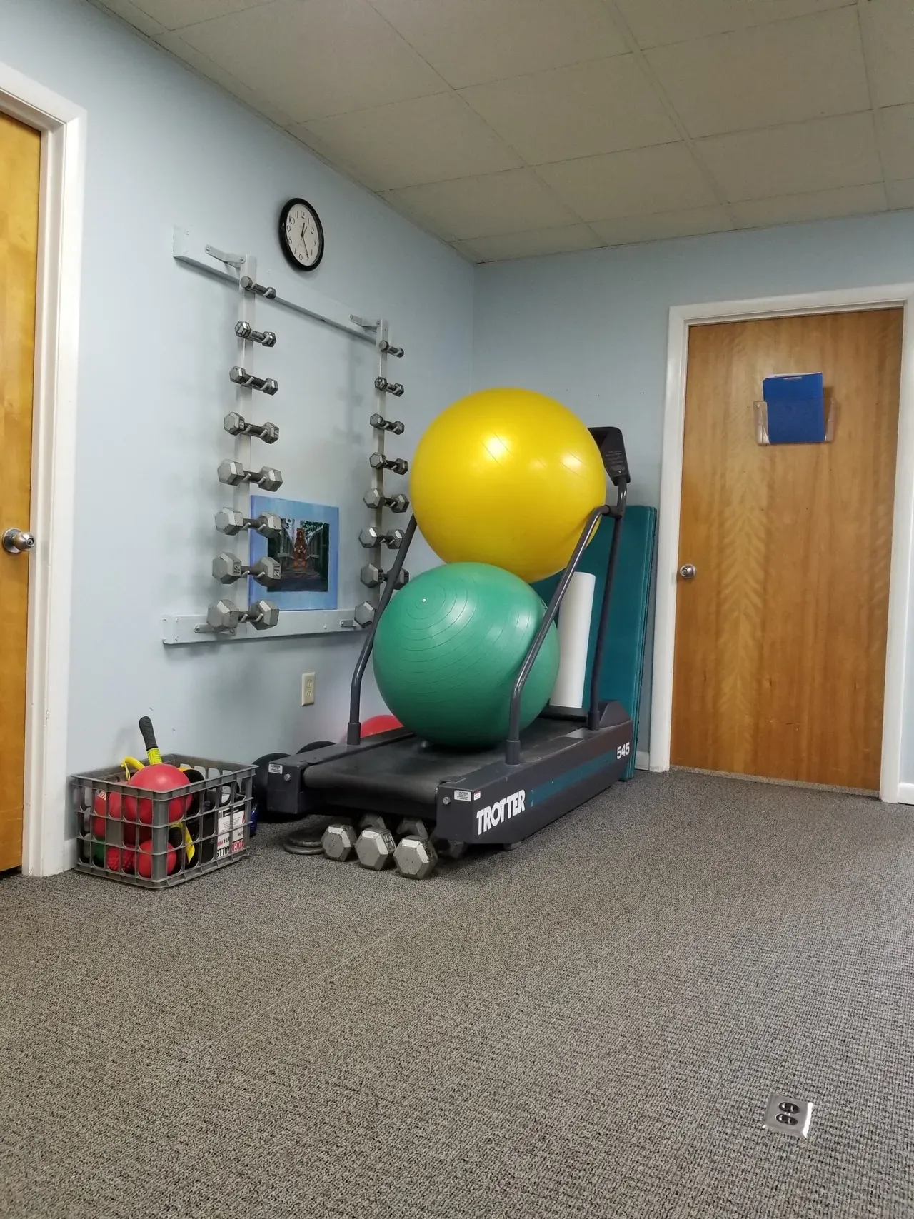 Treadmill with Med Balls — Andalusia, AL — Physical Therapy of Andalusia