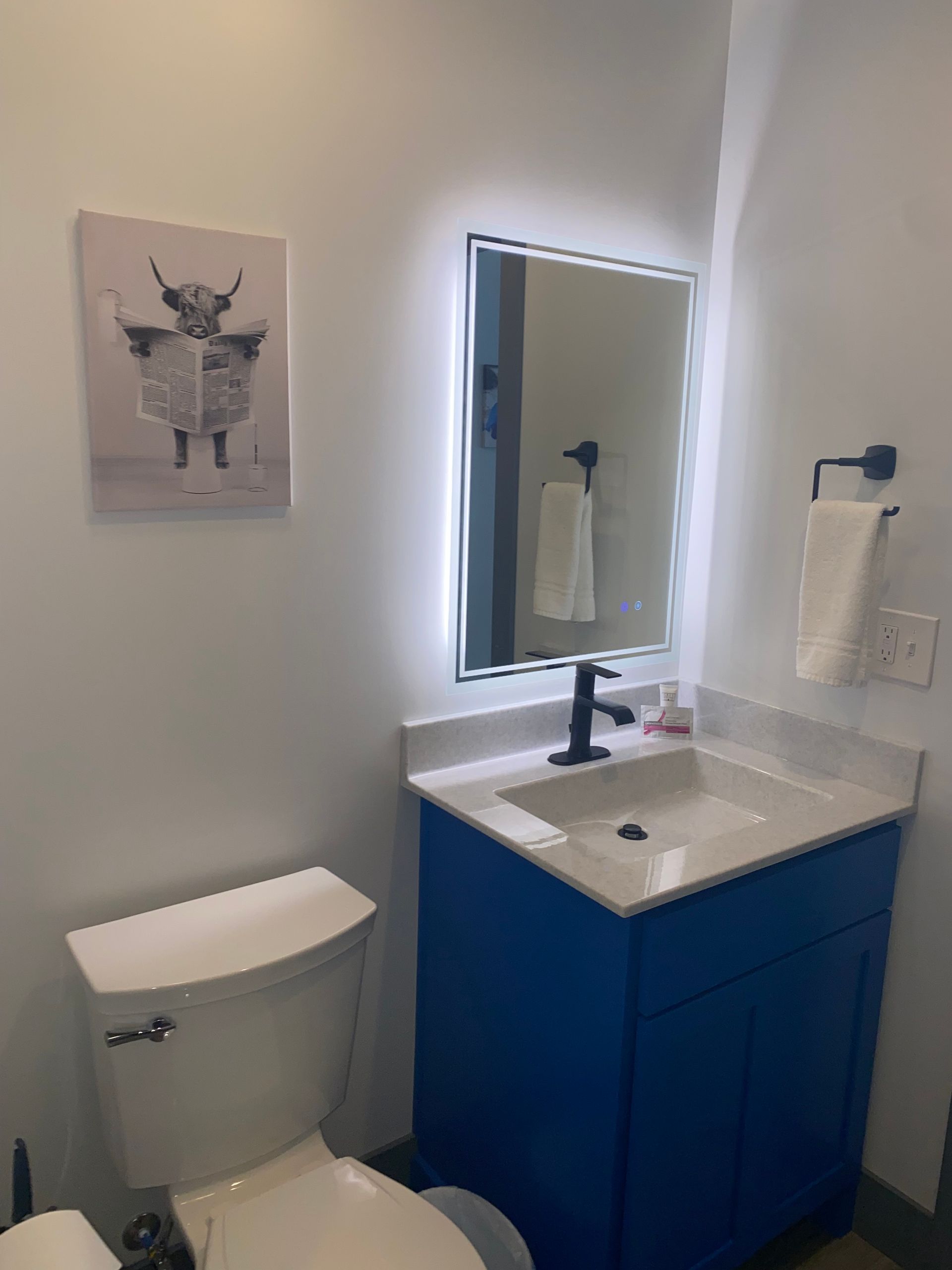 Bathroom in Cabin 9 at Creek Side Resort