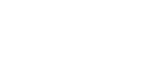 Empty white background.