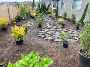 A garden with lots of potted plants and a stone walkway.