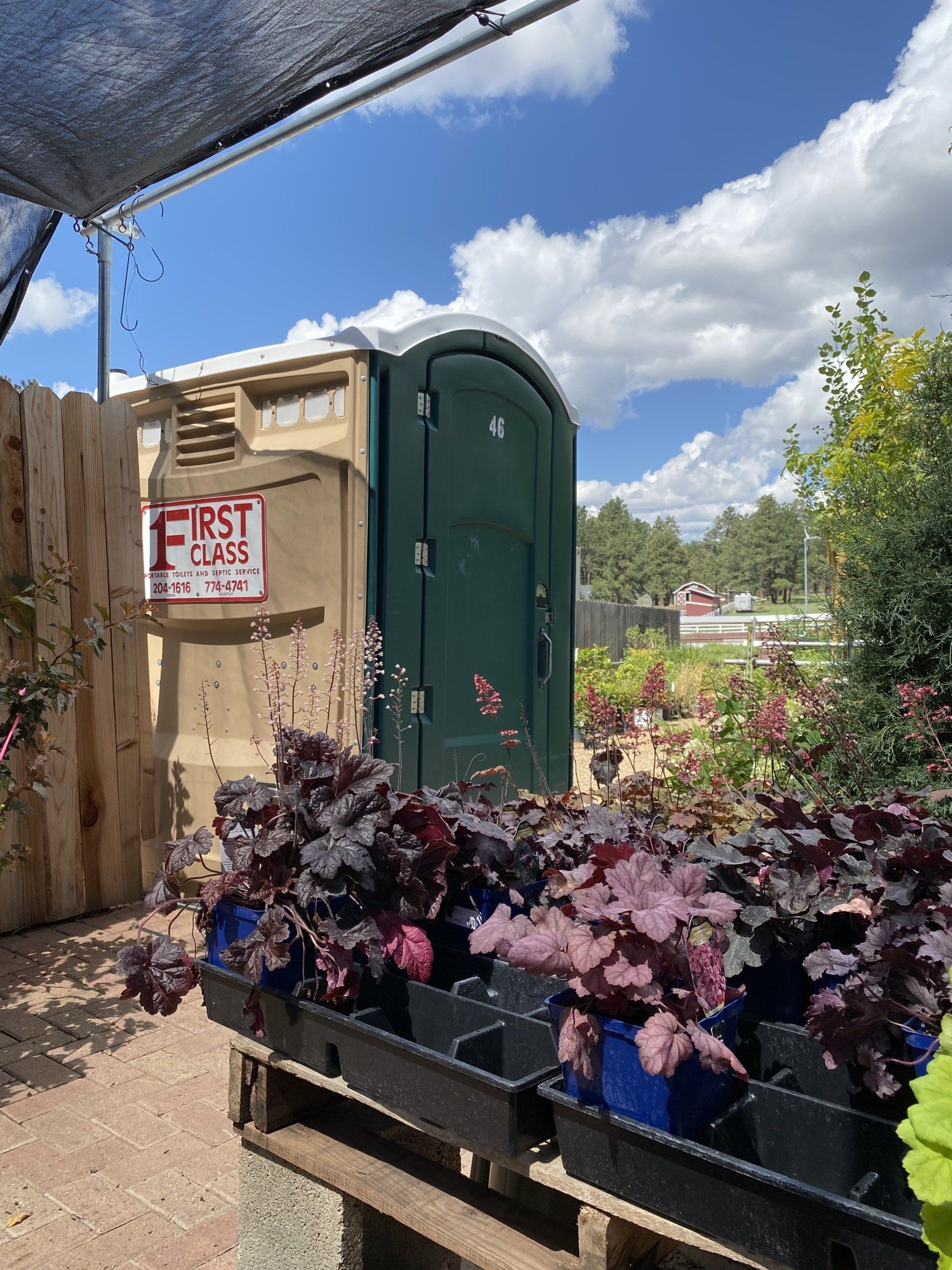 Portable restroom with plants | Flagstaff, AZ | First Class Sanitation