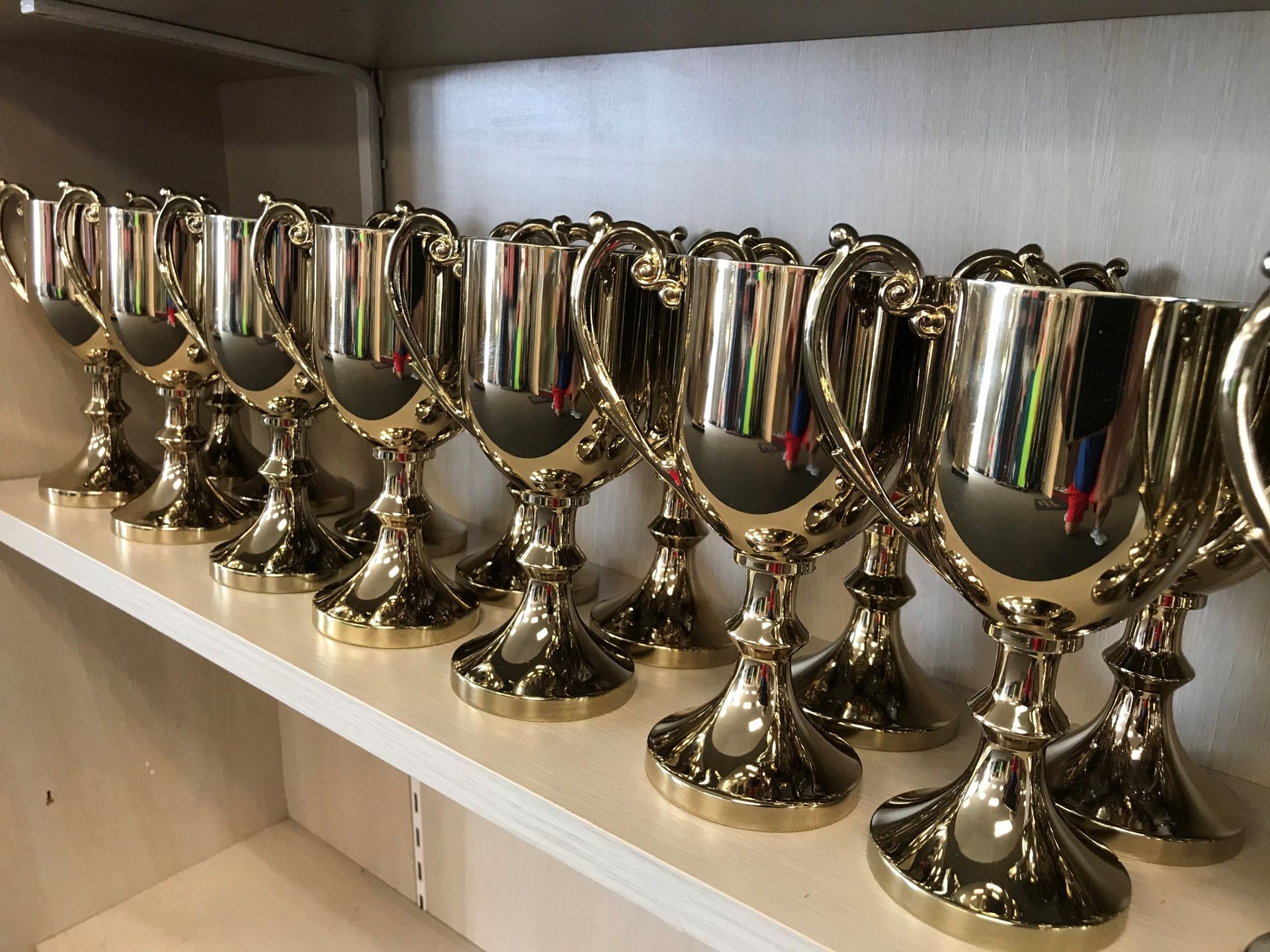 A row of trophies are lined up on a shelf
