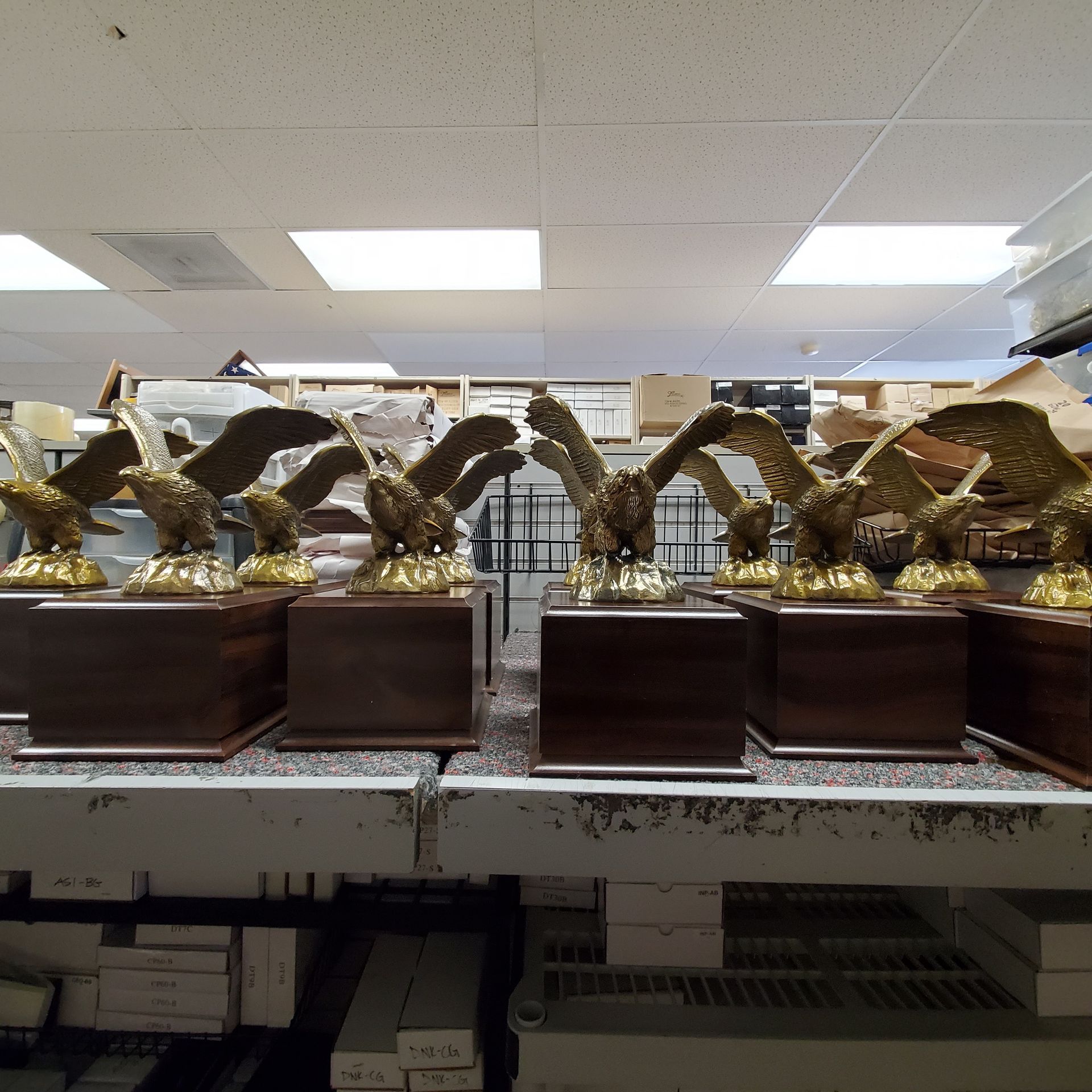 A row of eagle trophies are lined up on a shelf