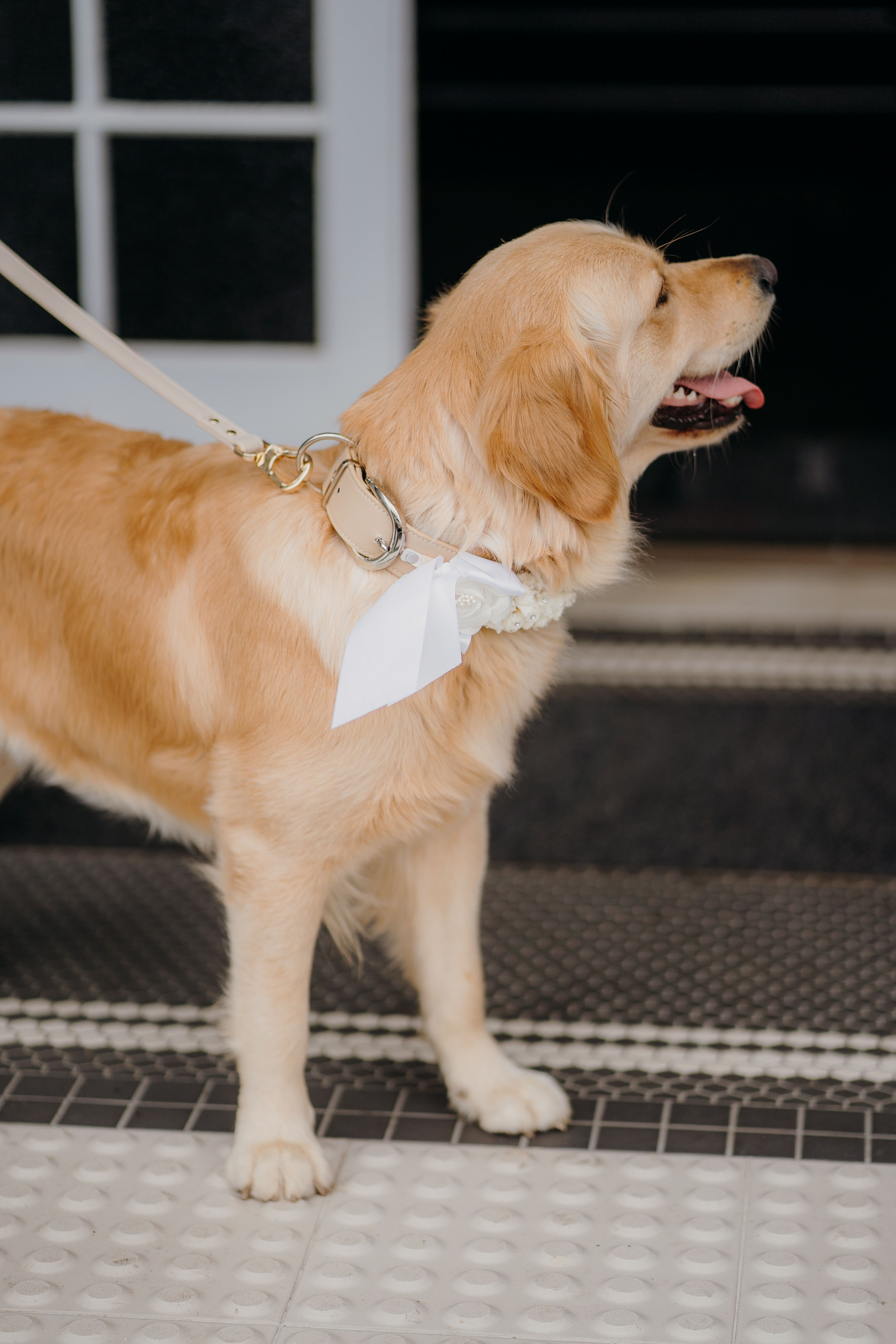 Reviews Weddingplanners International