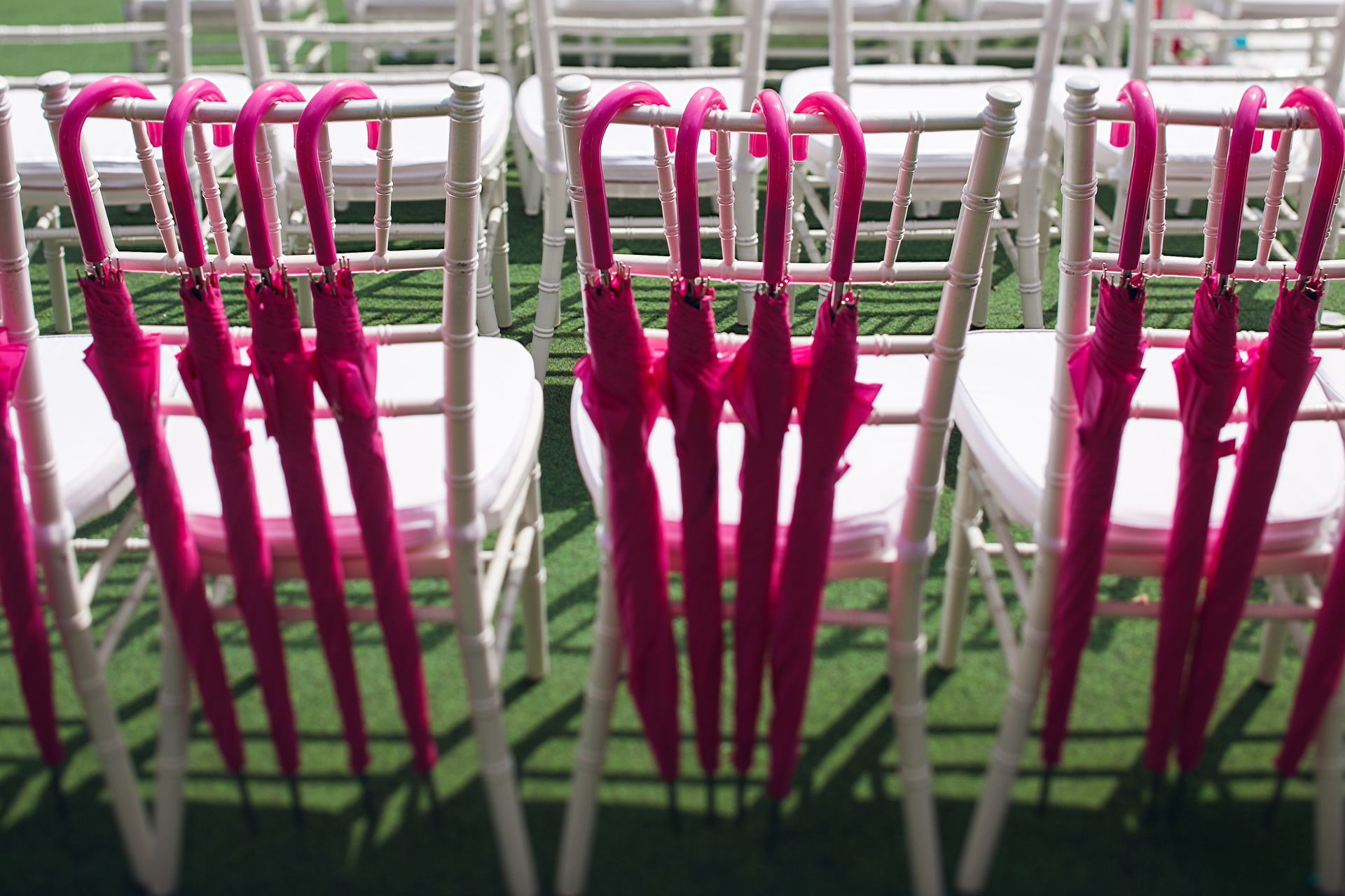 Programma Planning & Styling