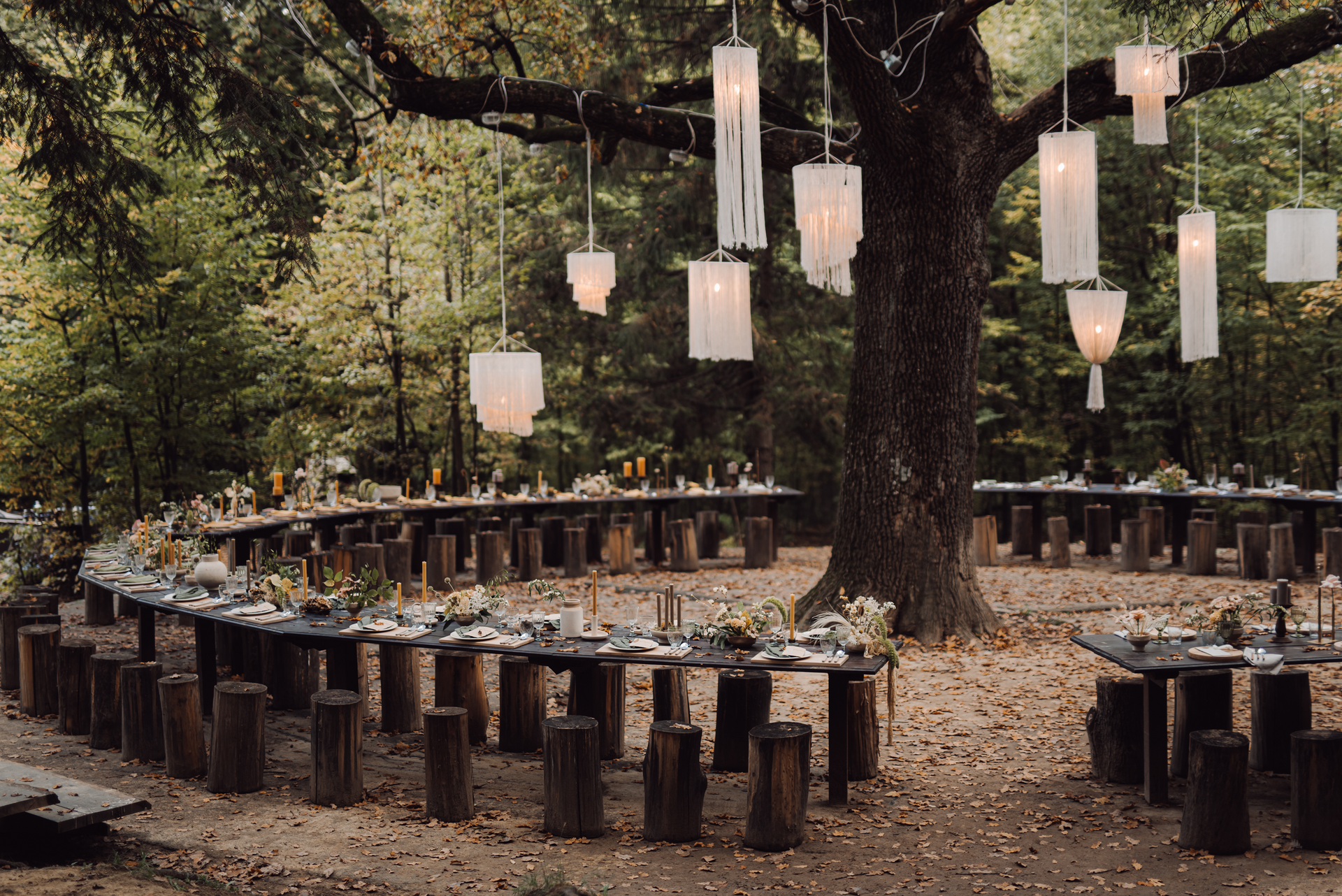 Programma maatwerktraject weddingplanner