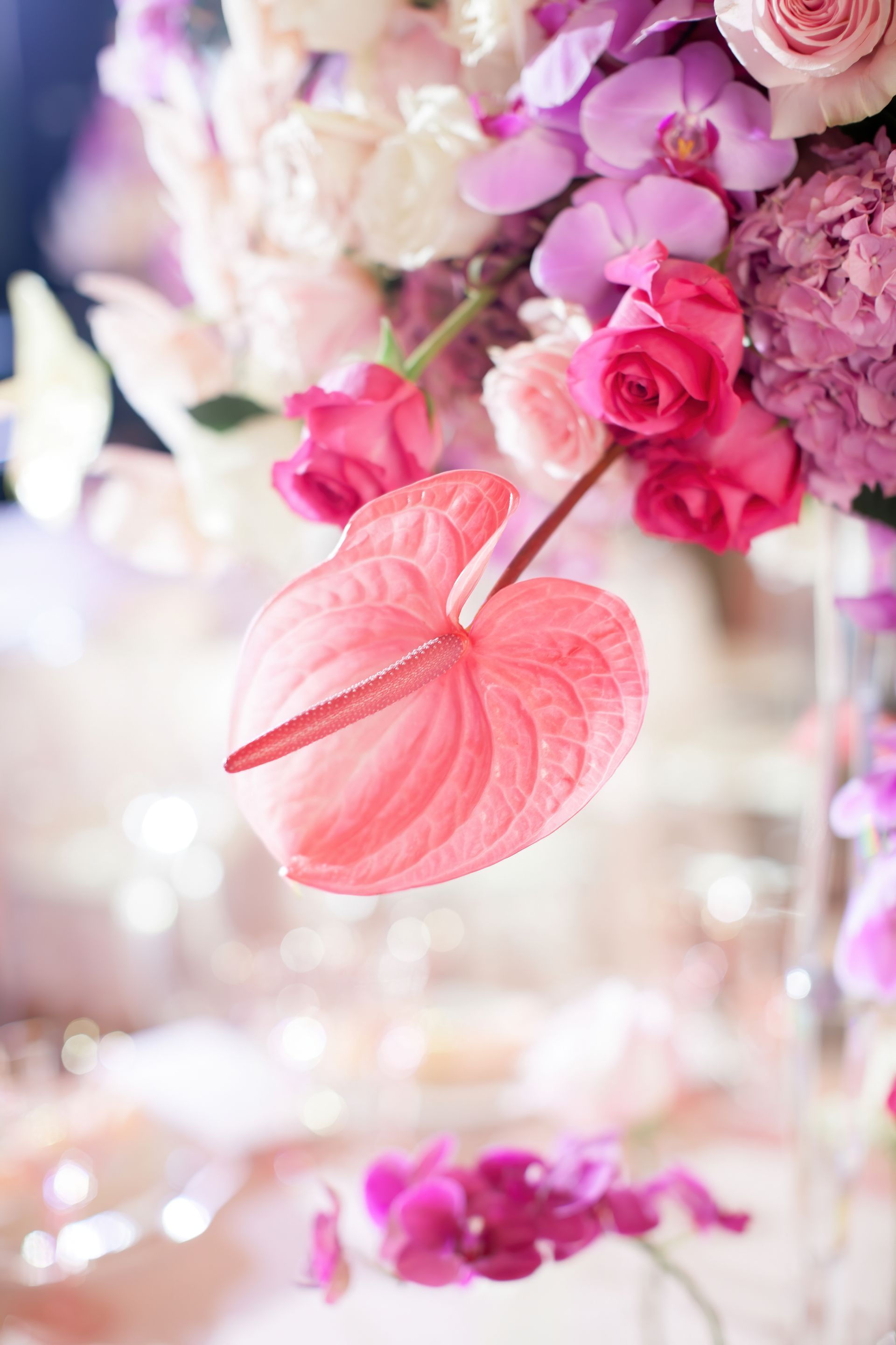 WEDDING STYLING OPLEIDING