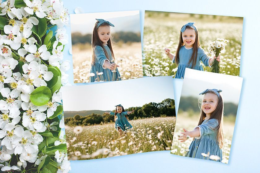 Vases avec une plante à côté de photos de personnes sur la plage