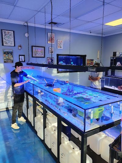 A man is standing in front of a large aquarium in a store.