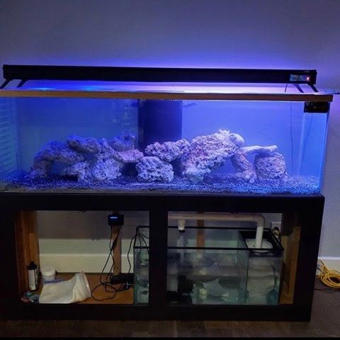 A rectangular aquarium with blue lighting, rock formations, and a black stand.