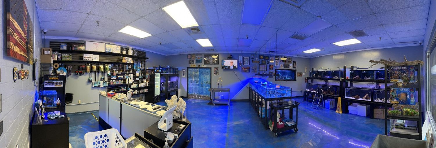 Interior of a fish store with blue floor, tanks, and merchandise. American flag art on the wall.