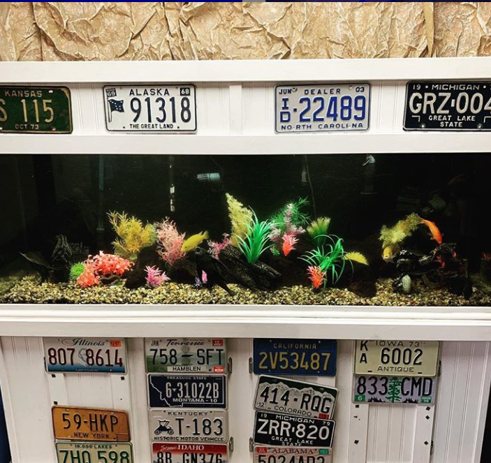 Fish tank decorated with colorful plants and license plates.