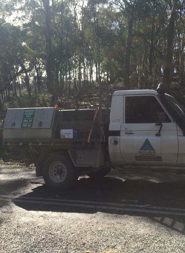 Truck Carrying First Aid Kit — Tree Services in Blayney, NSW