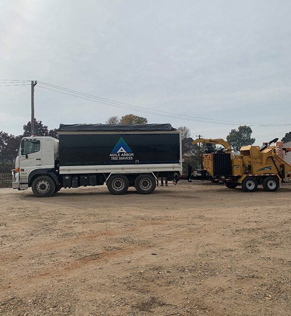 Agile Arbor Tree Services Truck & Grinding Equipment  — Safety & Council Requirements In Kelso, NSW