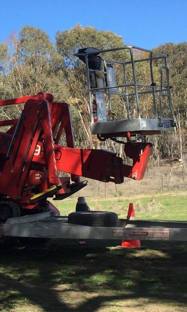 Lifting Equipment — Tree Services in Blayney, NSW