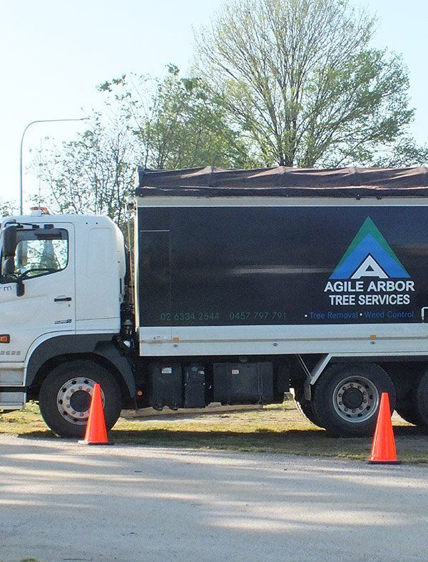 Agile Arbor Tree Services Truck — Tree Removal In Kelso, NSW
