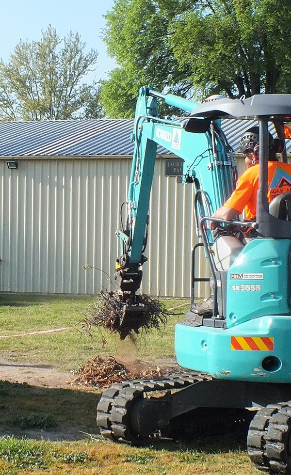 Clearing & Vegetation Management — Land Clearing In Kelso, NSW