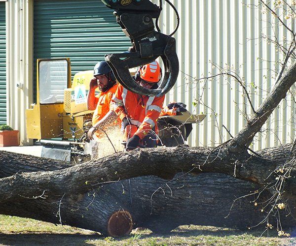 Plant Hire Cleaning — Land Clearing In Kelso, NSW