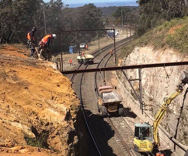 Agile Arbor Tree Services Working On Train Line — Our Projects In Kelso, NSW