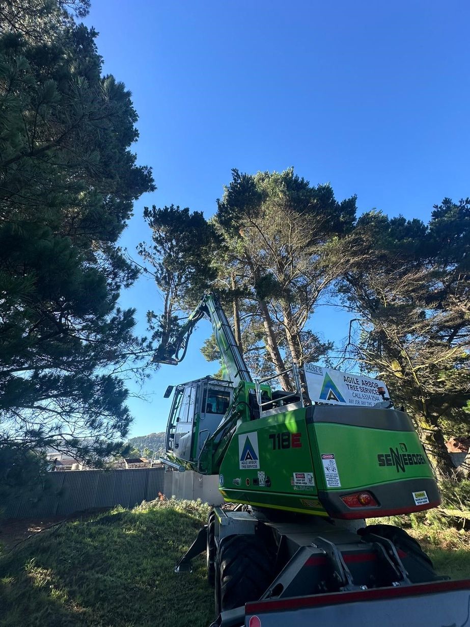 A Man In An Orange Shirt Is Climbing A Tree — Tree Services In Kelso, NSW