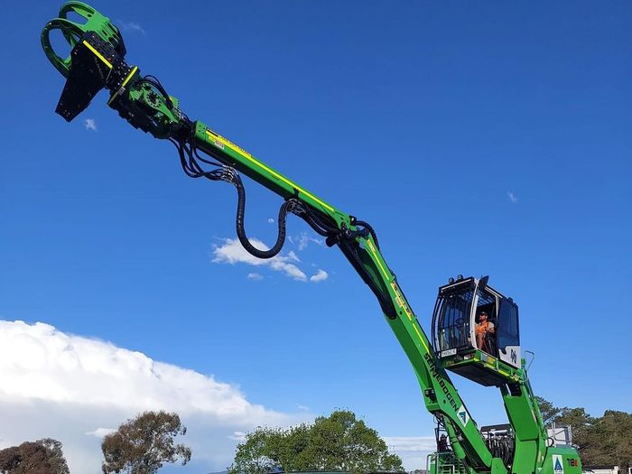 Blue Crane Removing Tree  — Tree Services In Kelso, NSW