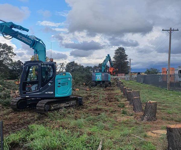 Blue Kobelco Machine Cutting Tree Stumps— Land Clearing In Bathurst, NSW