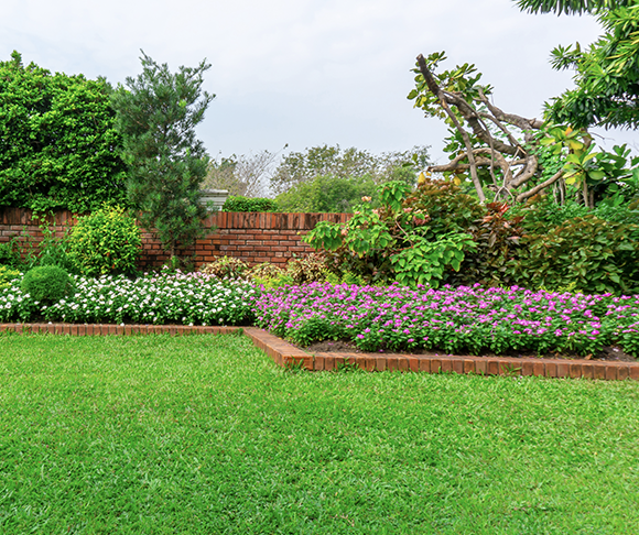 A lush green lawn with purple and white flowers in a garden.