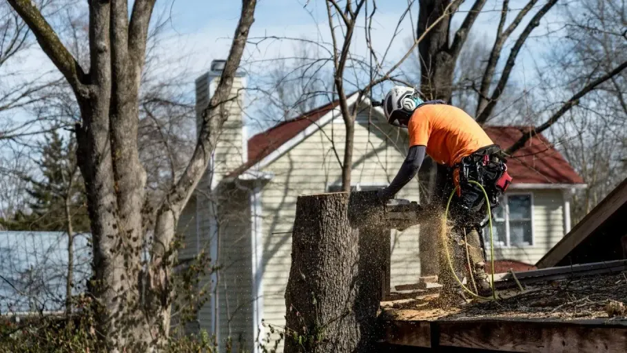 Worker in orange shirt clearing debris from a roof beside a house on a sunny day
