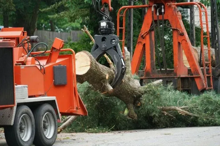 Heavy machinery claw loader lifting a large tree log