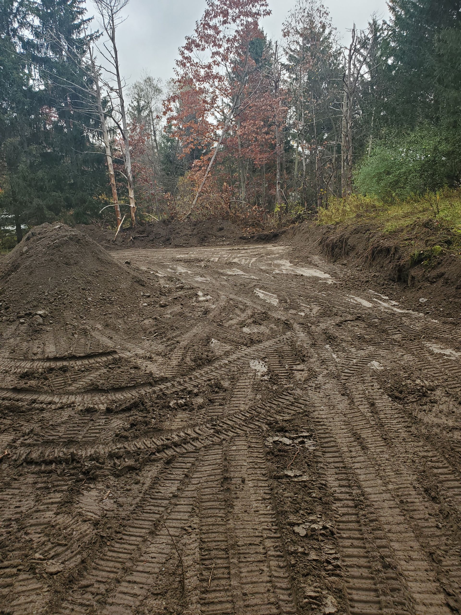 A muddy road in the middle of a forest with trees in the background.