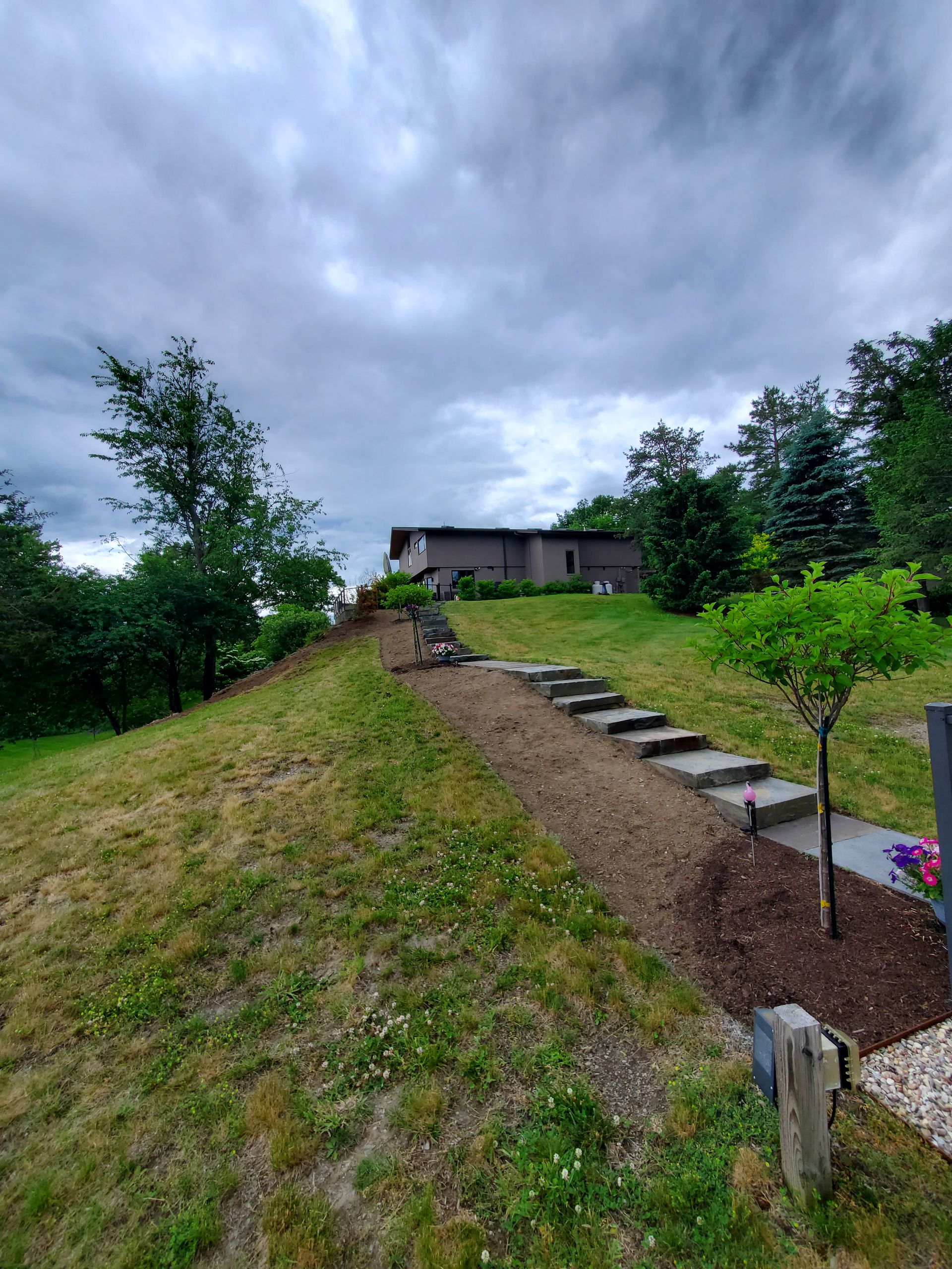 There is a house in the background and a path leading to it.